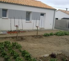 Arri&egrave;re de la maison et jardin