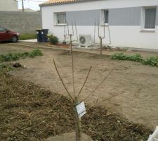 Arri&egrave;re de la maison et jardin