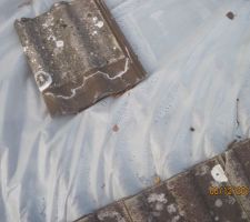 Sous le plastic , on devine la condensation
