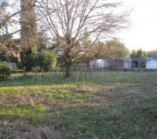 Pr&eacute;paration chemin d'acc&egrave;s.

Abattage 3 arbres