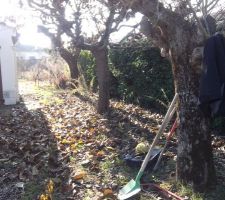 Pr&eacute;paration chemin d'acc&egrave;s.

Abattage 3 arbres