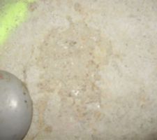 Sold de chambre dalle non faite