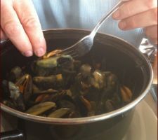 Un Dimanche en Charente Maritime ( midi à La Tremblade )