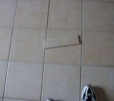 Carrelage &agrave; refaire enti&egrave;rement