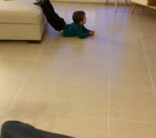 Le petit trouve sa place...