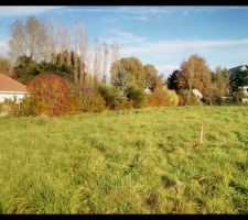 Implantation du terrain