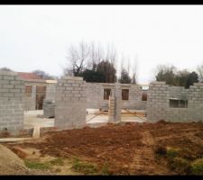 élévation des murs
ça pousse...