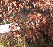 Voici le poteau Orange nous a dit le foureau doit arriv&eacute; jusqu'&agrave;u pied du poteau avant qu ils viennent intervenir mais c est pas le cas les tuyaux sont derri&egrave;res a quelque m&egrave;tre
