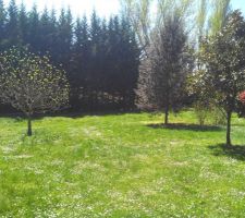 Une partie du terrain de 1600 m², bien arboré...