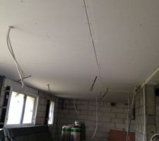 Plafond cellier cuisine