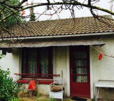 Le terrain avant toute intervention, il y a du vert &agrave; retirer !