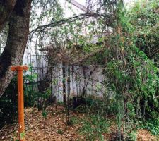 Le terrain avant toute intervention, il y a du vert &agrave; retirer !