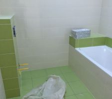 Salle de bain "verte"