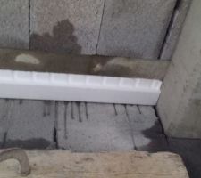 Tr&egrave;s l&eacute;g&egrave;re fissure en bas de la poutre, mais Mr qui est ma&ccedil;on m'a rassur&eacute; en me certifiant que cela ne jouait en rien sur la solidit&eacute; de la maison car c'est tout en bas et sur le pignon