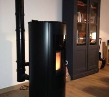 Jotul PF620