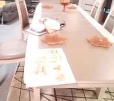 Idée salle à manger : table   chaises