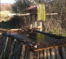 La mangeoire et la baignoire des oiseaux chez ma fille