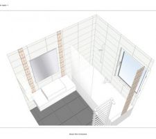 Aménagement Salle de bain RdJ