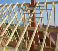 Conduit de cheminée