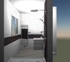 Salle de bain ambiance zen, vue de la douche