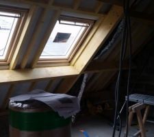 Les deux vélux : côté mezzanine et salle de bain.