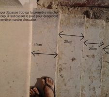 J'aurai peut être du leur préciser que je chausse du 40!