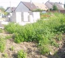 En 2 mois &ccedil;a commence &agrave; &ecirc;tre la Jungle !!!