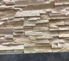 Brique de parement trouv&eacute;e