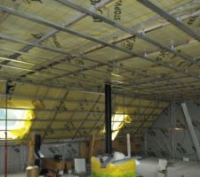 Tubage du poele passé, membranes ok, fourrures ok, plus qu'a finir l'isolation