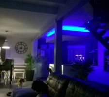 Etape debla construction du plafond suspendu avec lumiere indirecte au dessus de notre ilot