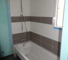 Salle de bain : mitigeur  bains et douchette Hansgrohe