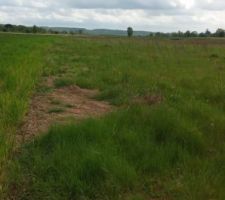 Petite id&eacute;e du terrain lors de notre premi&egrave;re visite