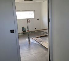 Porte fin de chantier croziere paul cerac charni&egrave;res invisibles et inserts inox