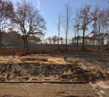 Voici le terrain juste avant de commencer