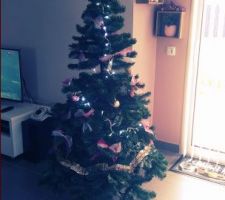 Notre sapin