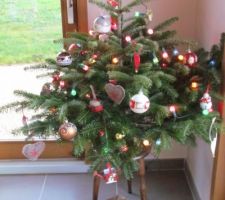 Notre sapin !!