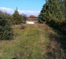 Le terrain qui fait 1306 m2