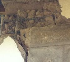 Partie superieure haute avec apparition de la ceinture