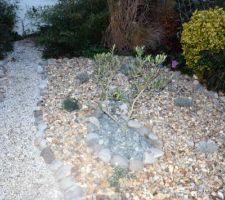 Le jardin "zen" terminé!
