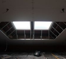Joues Velux