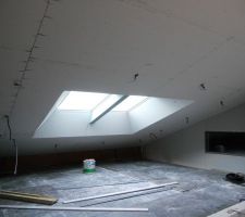 Joues Velux