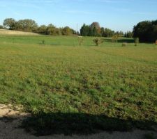 Photo de notre terrain