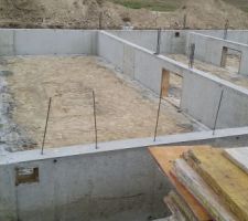 Vide sanitaire