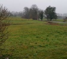 Voici une photo du terrain où la maison verra le jour d'ici 2017...