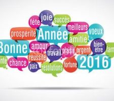 Bonne Année 2016 !