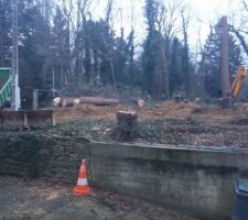 D&eacute;boisage de la parcelle