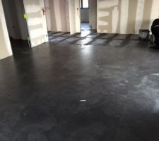 Salon/séjour