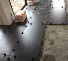 Début du salon
