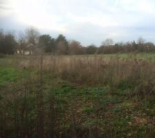 Vue au nord sur la campagne