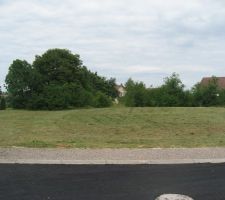 Terrain fauch&eacute;